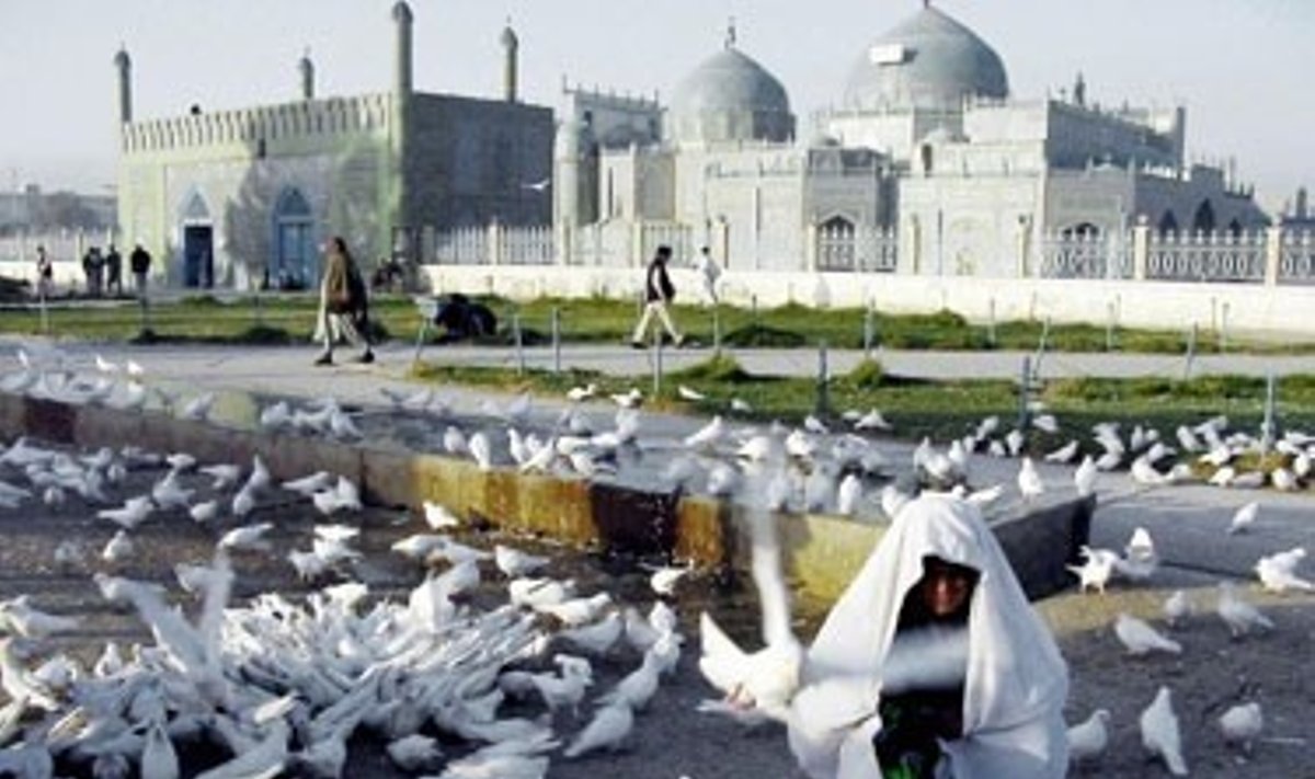 Uzbekų etninės grupės atstovė Afganistane maitina balandžius šalia Hazrat-i-Ali šventyklos.
