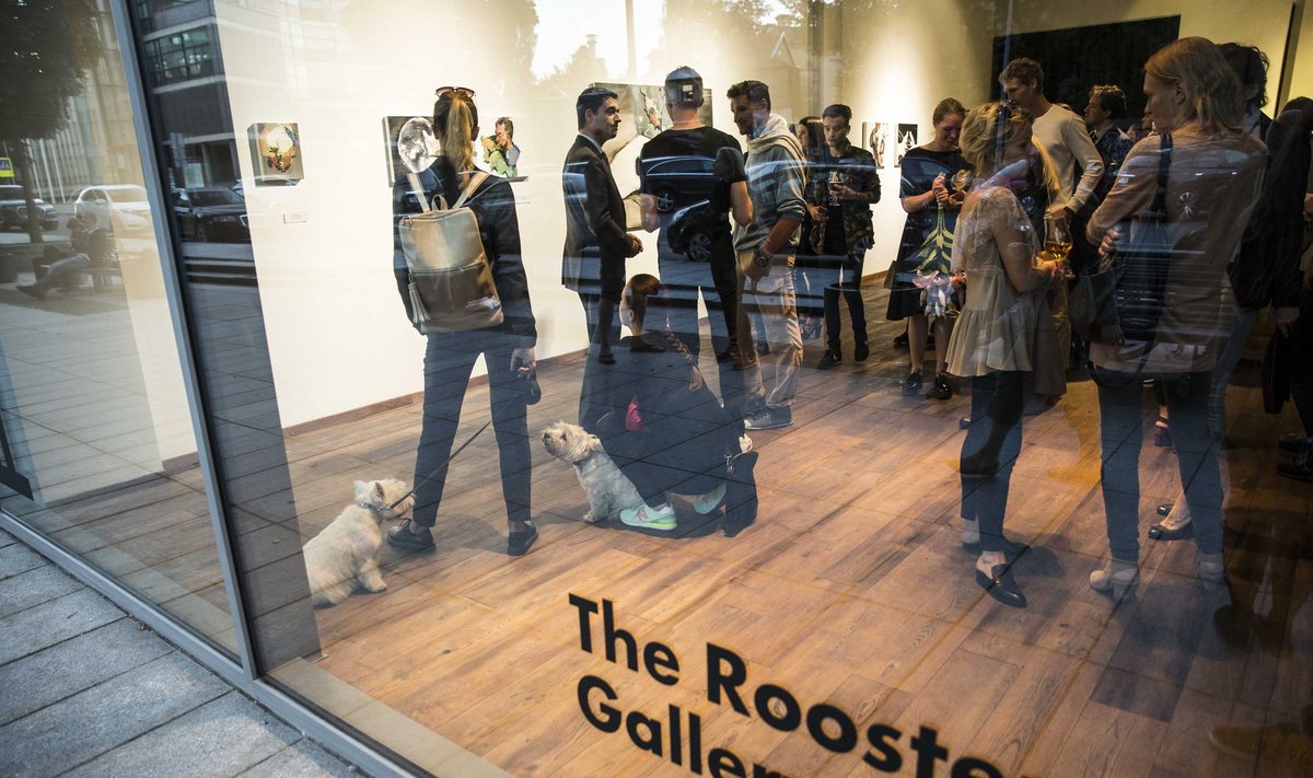 "The Rooster Gallery"