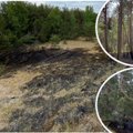Juodkrantėje per dieną kilo 4 miško gaisrai – įtaria padegimą