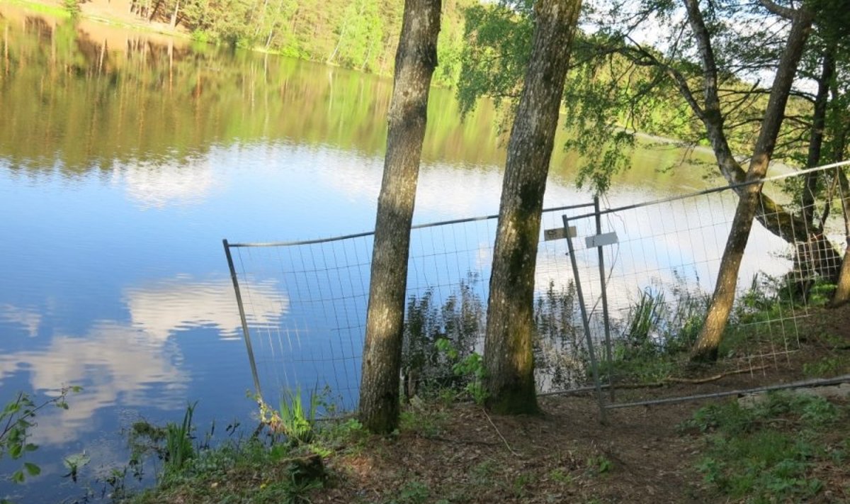 Taip atrodo tvora prie Gulbinų ežero