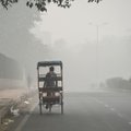 Dėl smogo Irane uždarytos mokyklos ir universitetai