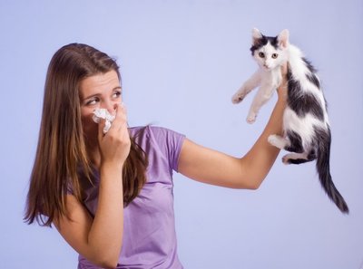 Alergija naminiams gyvūnams 