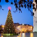 Savaitgalį Lietuvoje sužibs Kalėdų eglutės