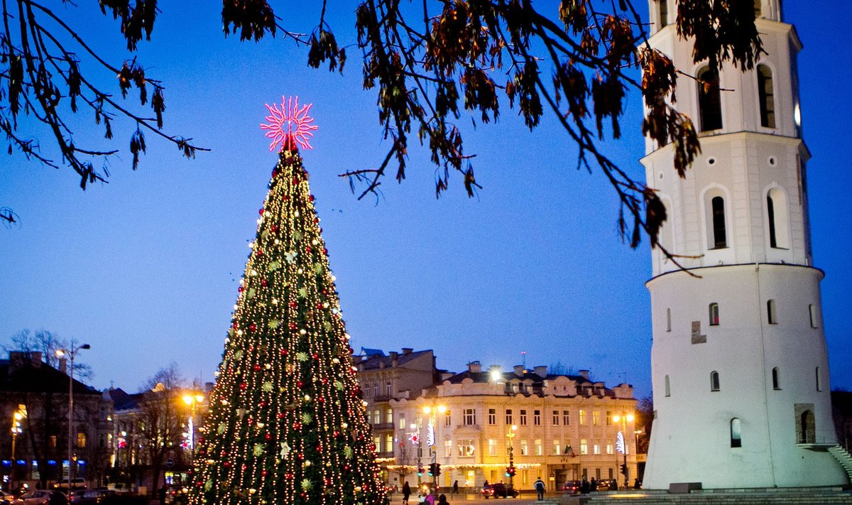 Kalėdų eglutė Vilniuje, Katedros aikštėje