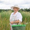 Panevėžio rajono žolininkių verslams kenkia sausros ir ariami laukai