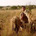 Sunku patikėti: tradicinius augintinius pakeitė plėšriosios hienos