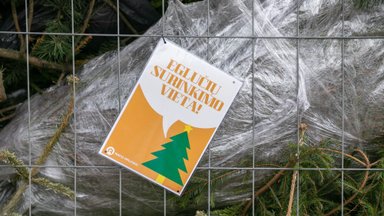 Nupuoštoms eglutėms Vilniuje – apie 100 surinkimo taškų