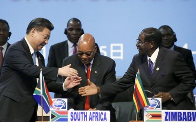 Xi Jinpingas, Robertas Mugabe, Jacobas Zuma