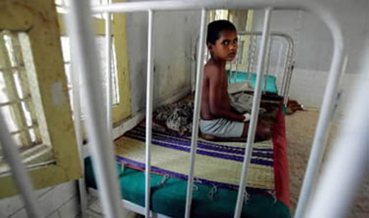 Aštuonmetis indas Radhika, išgyvenęs po smarkaus sekmadienio cunamio, sėdi ant lovos ligoninėje.