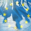Europos lyderiai raginami imtis veiksmų dėl socialinių tinklų įtakos artėjantiems rinkimams: tarp prisijungusių prie iniciatyvos – Delfi
