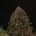 Vatikane įžiebta Kalėdų eglė ir pristatyta Prakartėlė