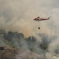 Ispanijoje kilęs pirmasis didelis miško gaisras sparčiai plinta