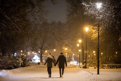  Bernardinų sodas. Foto Saulius Žiūra