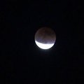 DELFI.TV žiūrovas nufilmavo Mėnulio užtemimą Telšiuose