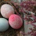 DELFI išbando: neįprastas kiaušinių marginimas plakta grietinėle