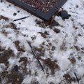 Mirusiųjų ramybę Kauno kapinėse drumsčia aštrių pojūčių mėgėjai: griūva tvoros ir paminklai
