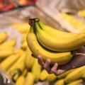 Visi bananai tikrai yra radioaktyvūs: mokslininkė paaiškino, ką tai reiškia
