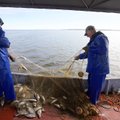 Kompensacijos už padžiautus tinklus Kuršių marių žvejų nežavi: bent pusė sako, kad iš verslo nesitrauks