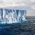 Ar Žemę juosia Antarktidos ledo siena?