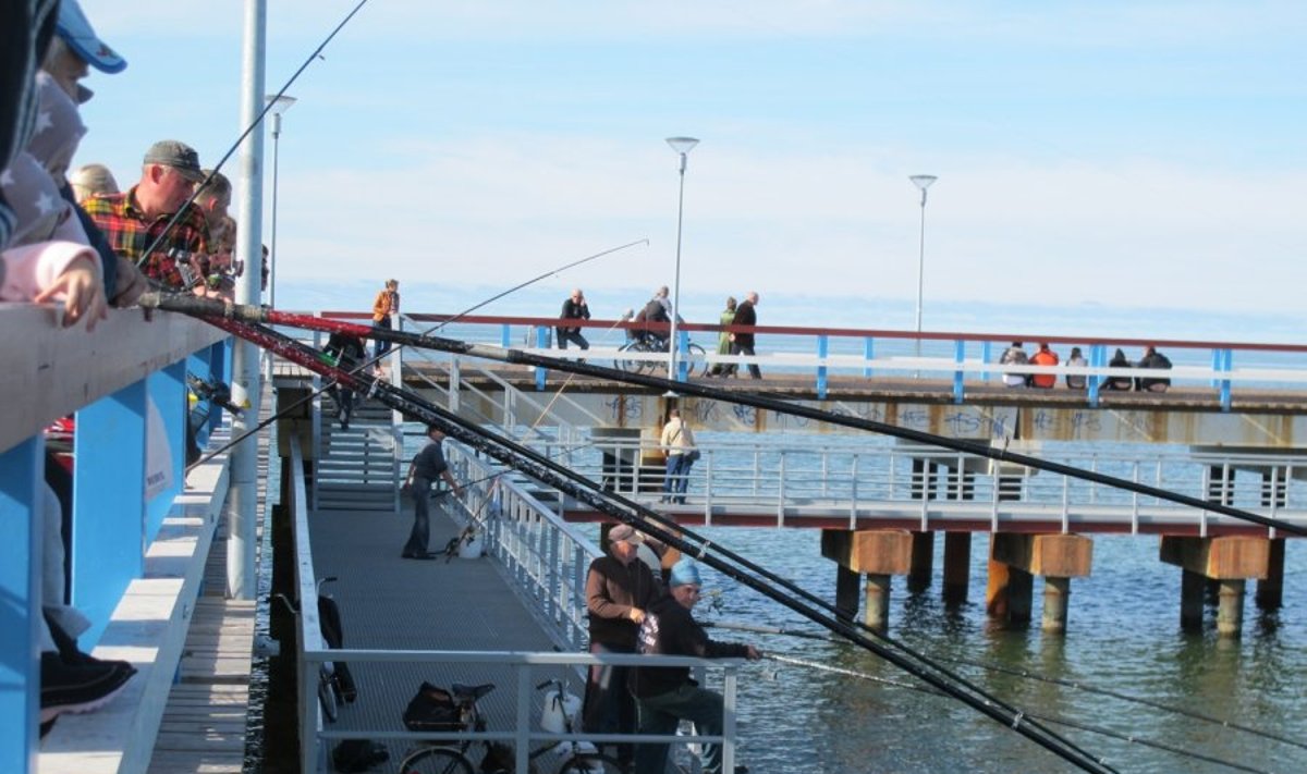 Žvejai ant Palangos tilto - tik lašas jūroje