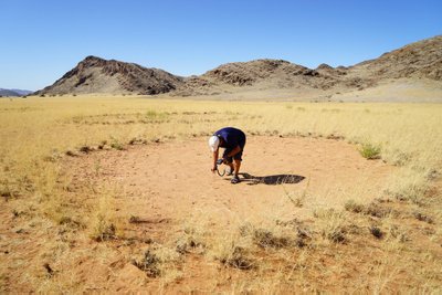 Mokslininkai aiškinasi Namibijos apskritimų kilmę. 