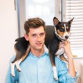 Biuro darbuotojai šunų namuose nepalieka: parodė, kad dirbti su gyvūnais – smagiau