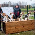 Kaune atidaryta pirmoji vieša šunų aikštelė