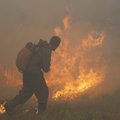 Эксперты предсказали глобальную экологическую катастрофу из-за лесных пожаров в Сибири