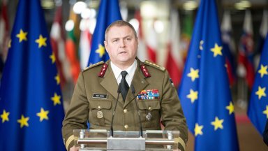 Buvęs Estijos kariuomenės vadas: dėl migrantų krizės reikia aktyvuoti NATO 4-ąjį straipsnį