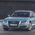 Be teismo neapsieis: pirko prabangią „Audi“ – gavo perdažytą mašiną