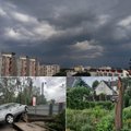 В Литве за минувшие сутки пожарные 66 раз выезжали на уборку поваленных бурей деревьев