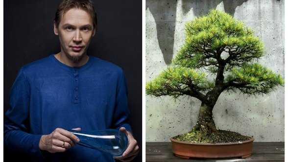 Stiklo menininkas atrado naują aistrą: lietuviškius medelius augina pagal japoniško meno tradicijas