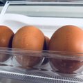 Kodėl kiaušinių nereikėtų laikyti šaldytuve: nustebsite, kad to nežinojote anksčiau