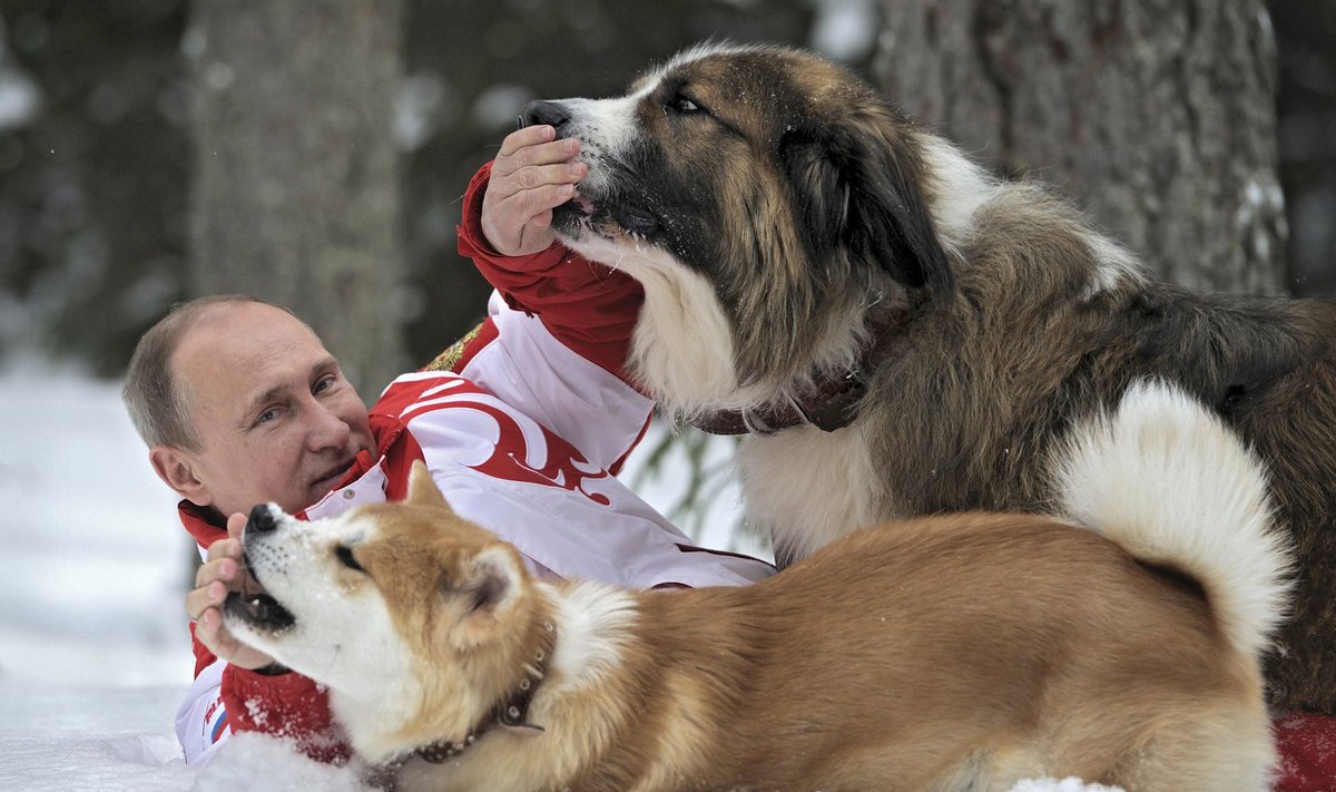 V.Putinas žaidžia su šunimis