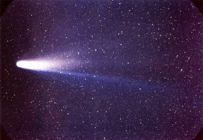 Halio kometa 1986 metais. ESA/MPS/NASA nuotr.
