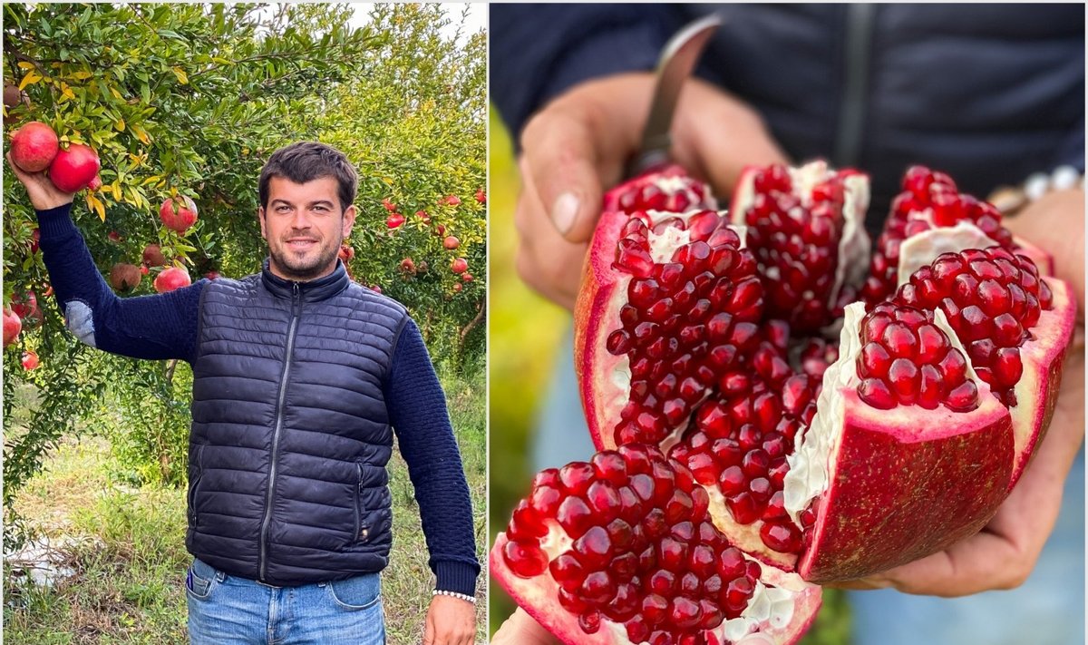Ūkininkas iš Italijos parodė, kaip reikia valgyti granatą
