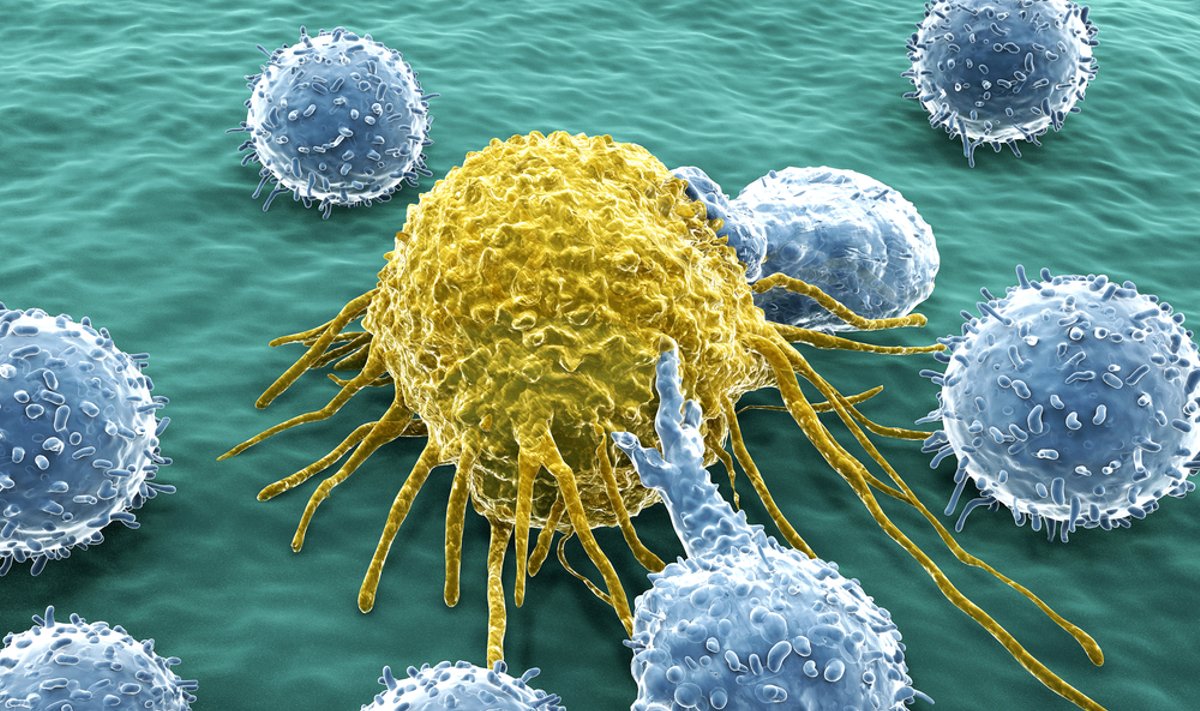 Vėžinės ląstelės