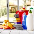 Tviskanti švara ar gera sveikata: namuose tykantys buitinės chemijos pavojai