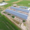 Atidaroma didžiausia Lietuvoje pieno ferma: sieks „amerikietiško“ primilžio