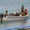 Sudane nuskendo laivas su 15 tūkst. avių