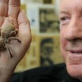 Australas gyvens vitrinoje su 400 vorų