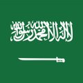 Saudo Arabijoje beveik visi nuteistieji, kuriems įvykdyta mirties bausmė, buvo šiitai