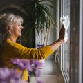 Valykite langus sumaniai – taisyklės, garantuojančios nepriekaištingą švarą