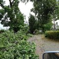 Squall causes damage, power problems in Lithuania