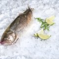 Neišmeskite žuvies žvynų – išvirkite naminio kolageno