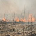 Pievų gaisrų skaičius šiemet jau perkopė tūkstantį, nuo žolės sudegė keli pastatai