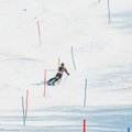 Atvirame Lietuvos kalnų slidinėjimo čempionate – vos penki lietuviai