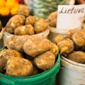 Paskui šviežias bulves atėjo tikrintojai – ne visi turguje sugeba įrodyti, kad patys jas augino
