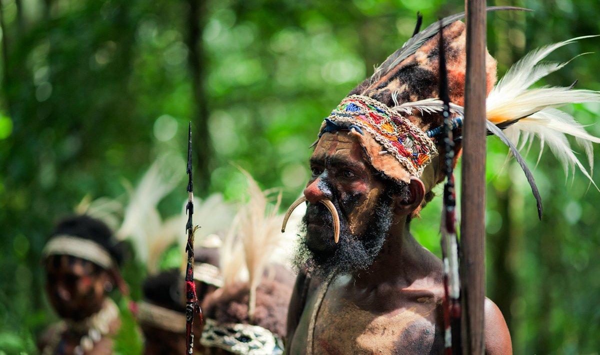Papua Naujosios gvinėjus džiunglėse gyvena daug pirmykščių genčių