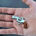 Šveicariška mikroamunicija: mažiausias pasaulyje revolveris